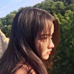 埃及公主的传说修改版