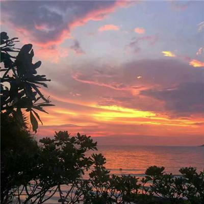 铅笔涂鸦创意动画20