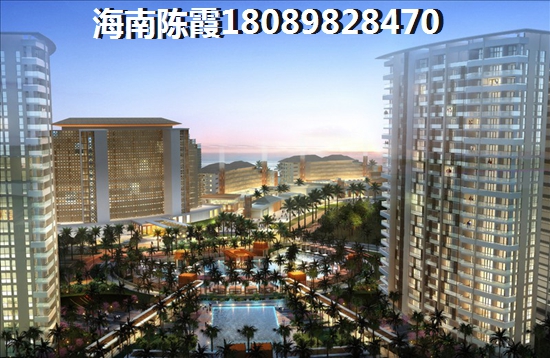 碧桂园湖悦天境 一居  户型图