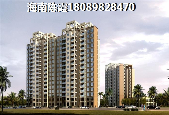 铂悦公馆 一居  户型图