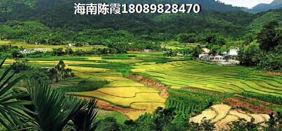 雅戈尔未来城五期高层12#E户型2室2厅1卫1厨  两居 84㎡ 户型图